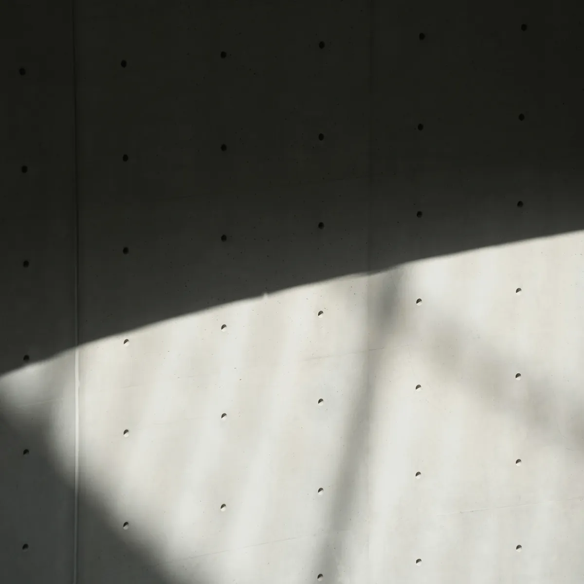 An arc of afternoon sun across a board formed concrete wall