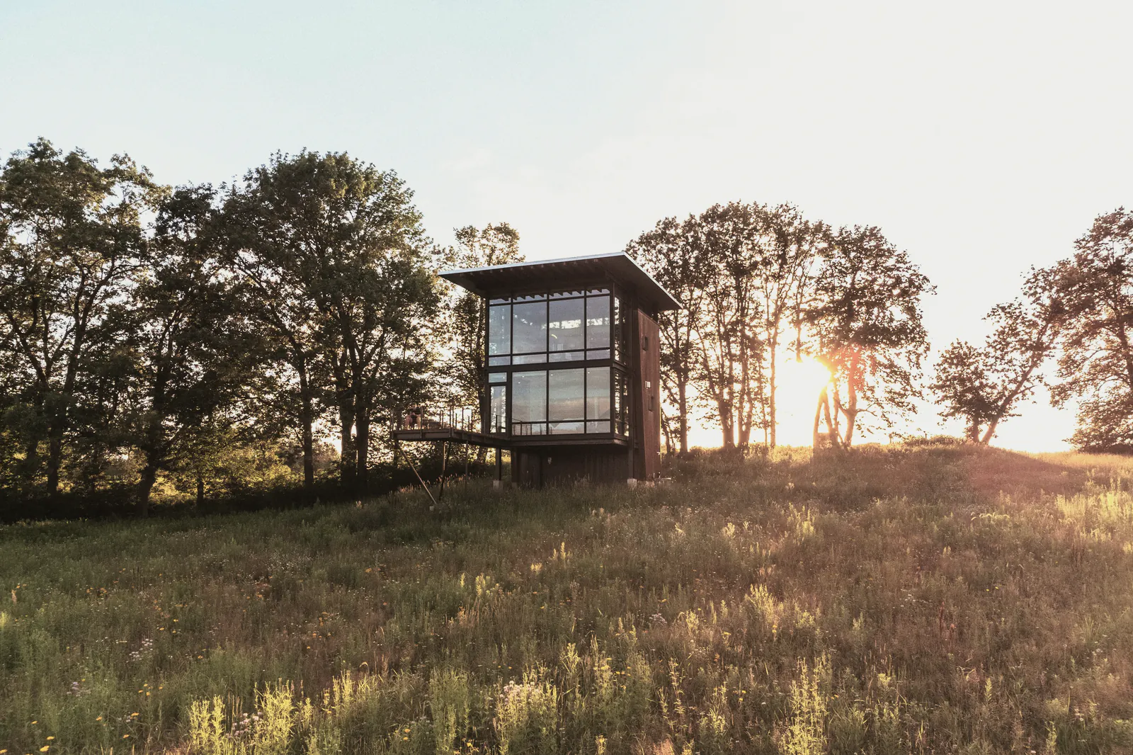 A small glass house on steel piers at the edge of a grassy paddock at sunset