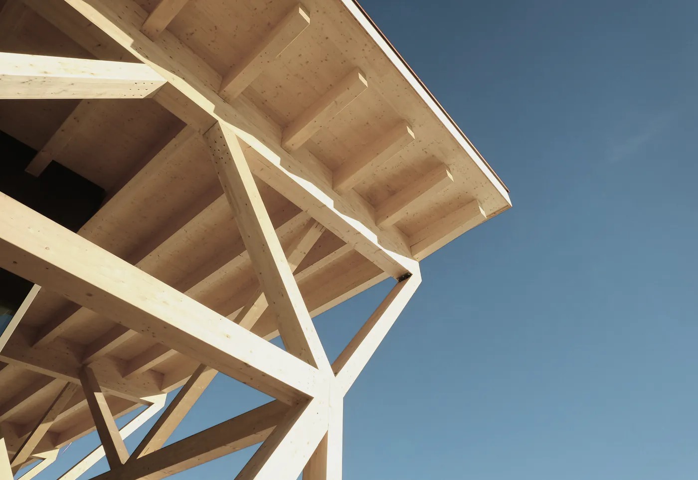 New timber rafters against a blue sky