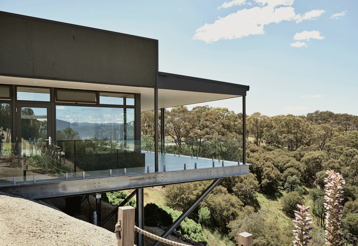 A glass balcony cantilevered over a valley of gum trees